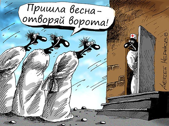 Леди атаковала машины на Литейном проспекте, пока переходила дорогу