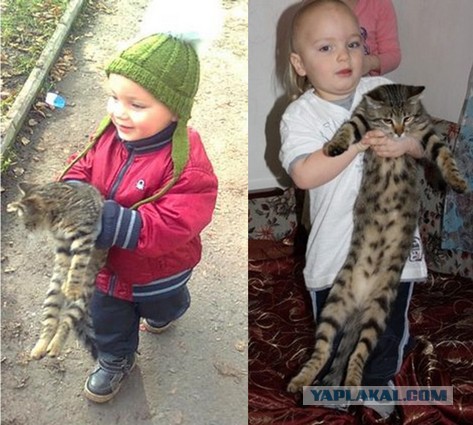 C Кэтсбурга 2014