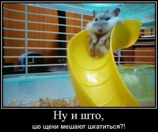 Веселые картинки № х/з