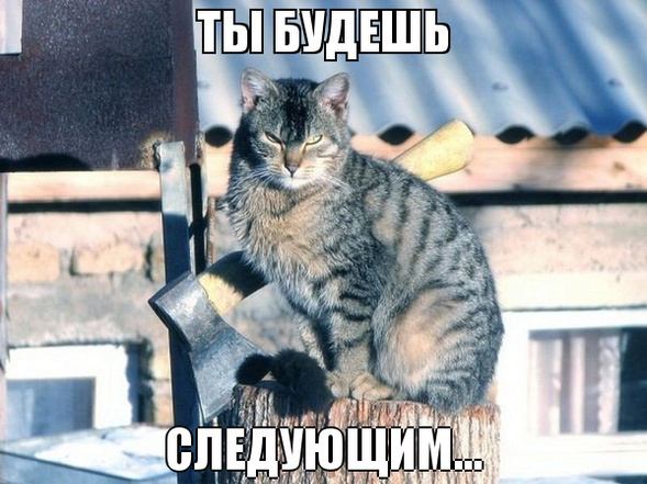 Кот спас мальчика от нападения собаки