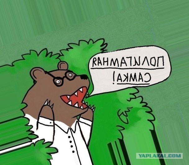 Няши отакуют аэропорт