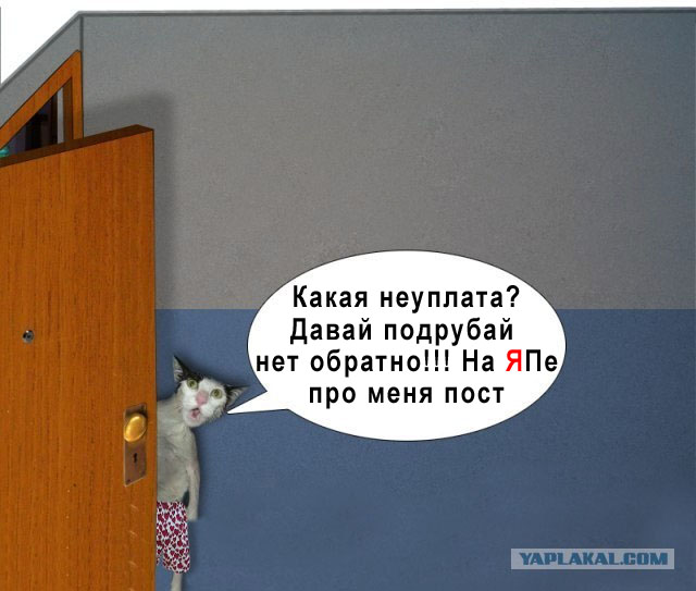 Фотожаба: чё те надо?