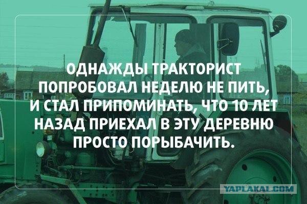 Подборка веселых картинок