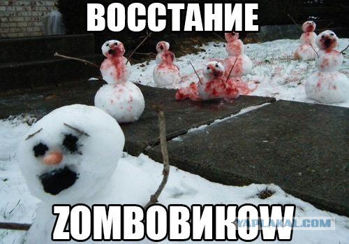 Свежие картинки из сети