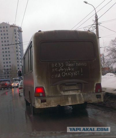 Надписи на авто