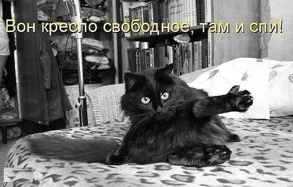 Весёлые картинки