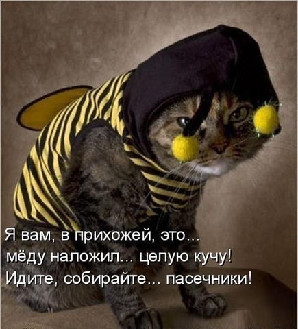 Ургант об эротическом танце «Пчёл из Оренбурга»