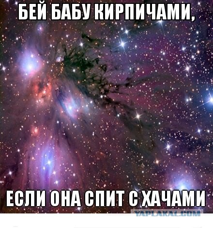 "Дикую Автобабу" из Перми арестовали.