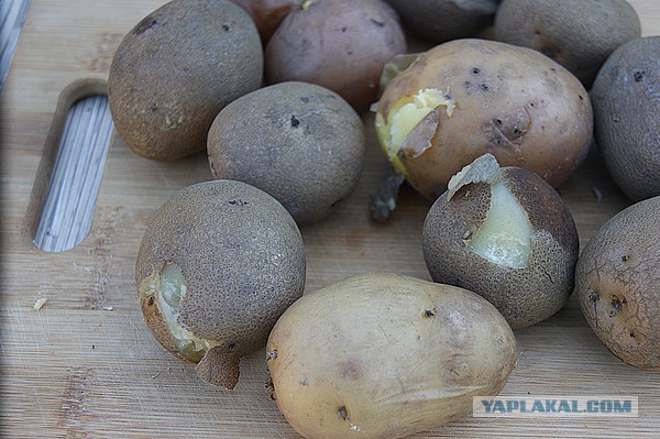 Шведский стол для Ати, Кулинары поздравляют