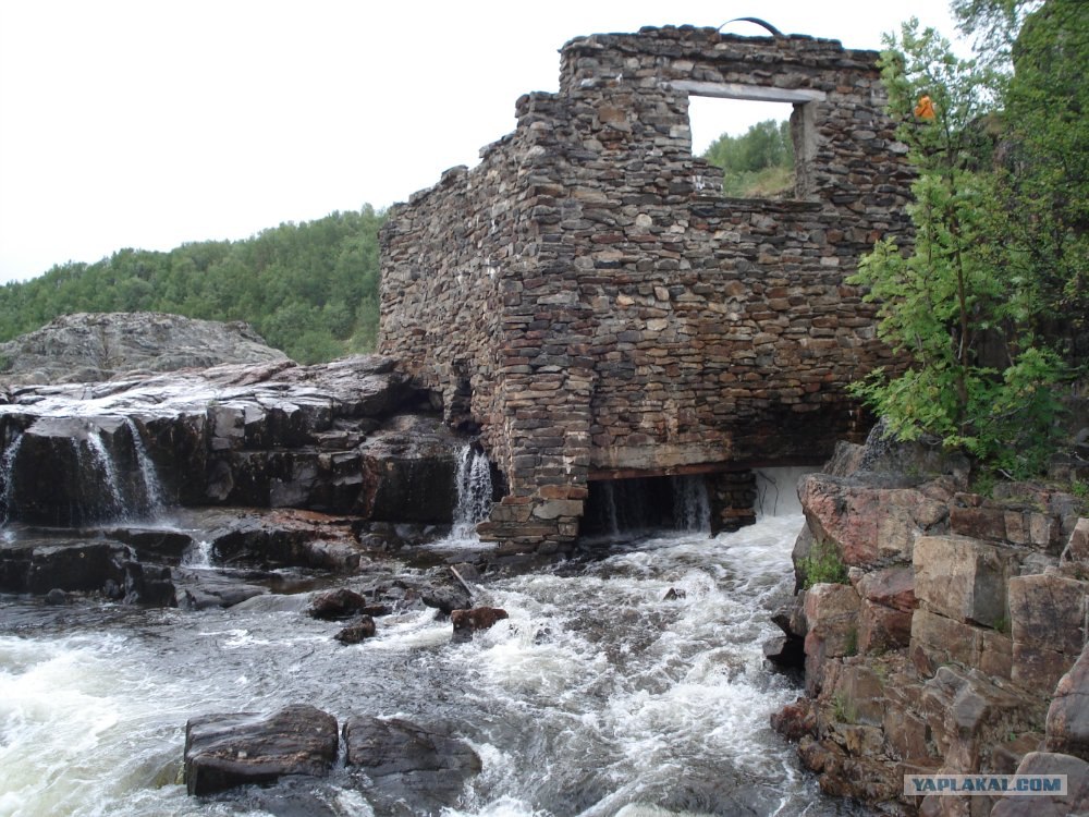 Кафе наркули в бобруйске