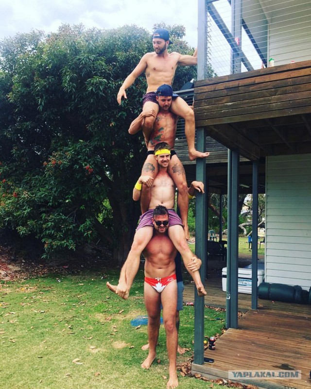 Подборка картинок