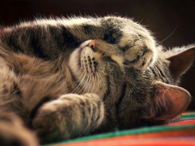 Подборка картинок 29.02.16