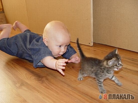 ДЕТИ. Прикольные дети, карапузы, малыши