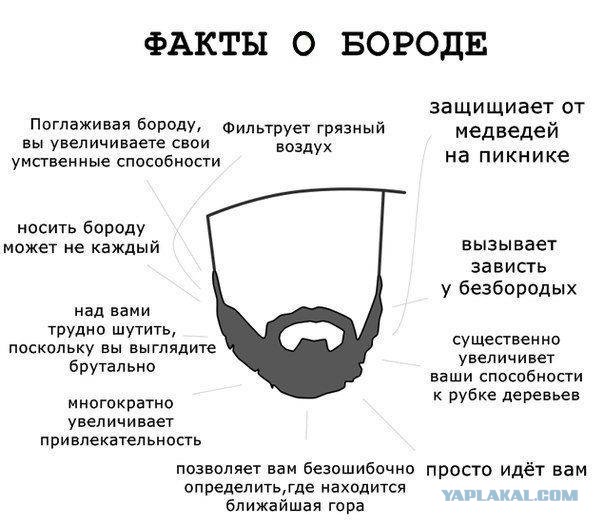 Насколько борода украшает мужчину