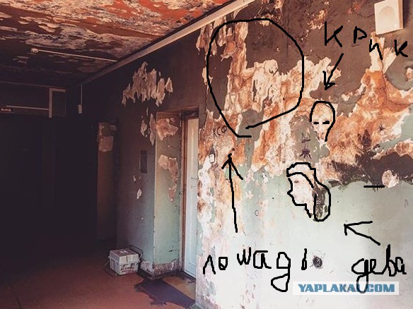 Боткинская инфенкционная больница... Клиент недоволен!