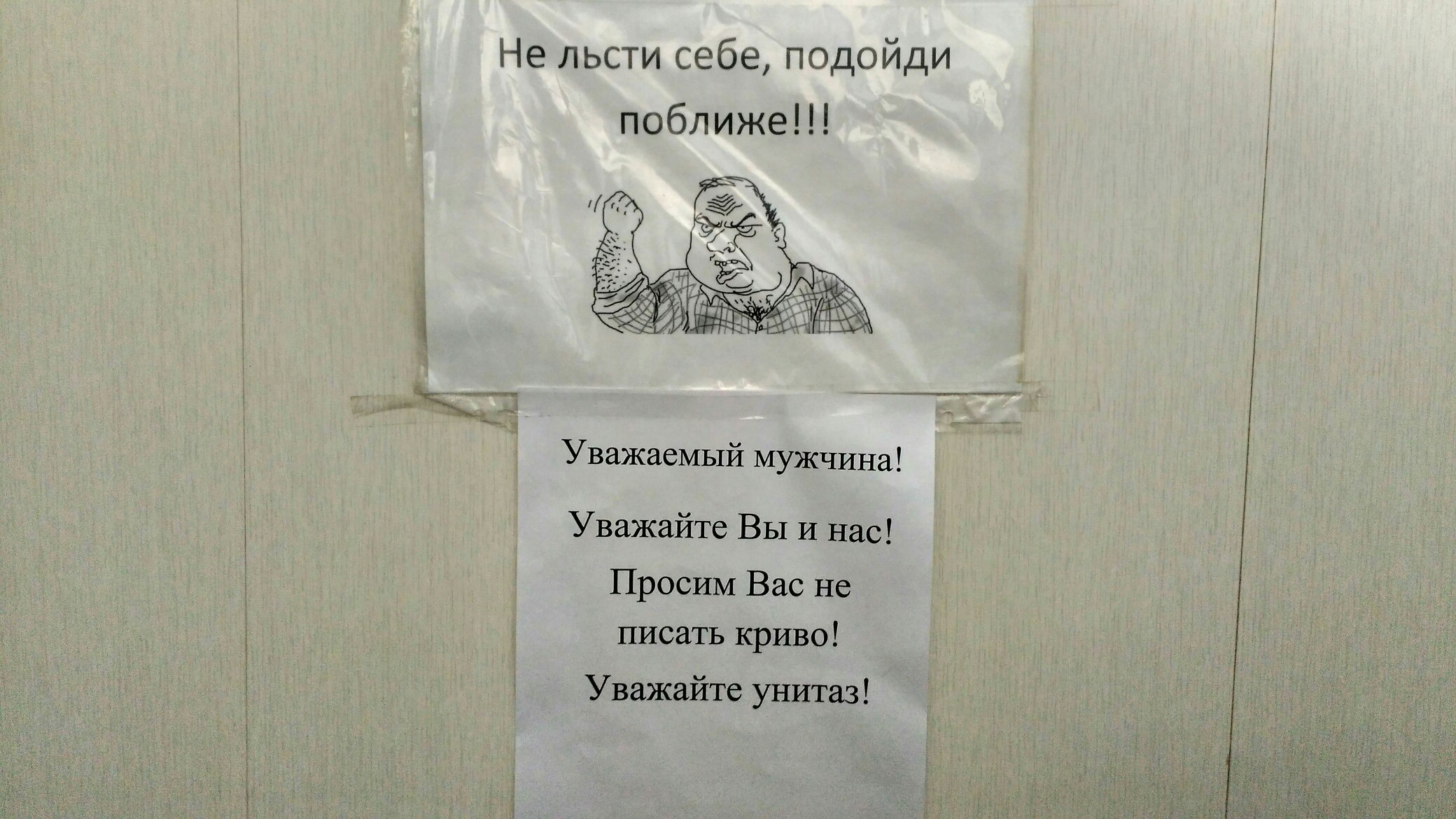 Льстиф или льстив как правильно пишется. Льстиф или льстив как правильно пишется. Высказывания о лести. Как пишется слово льстив в или ф. Веселые надписи в туалет.