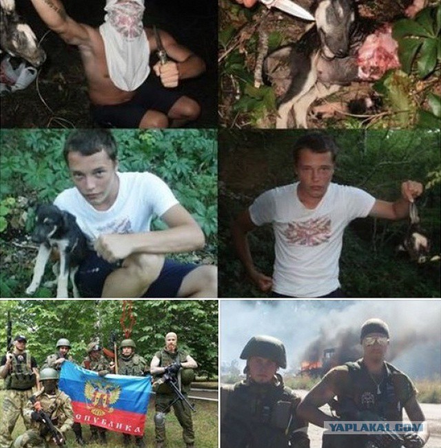 Понять и простить? Живодерки съезжают на первую часть.