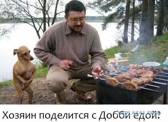 Подборка картинок