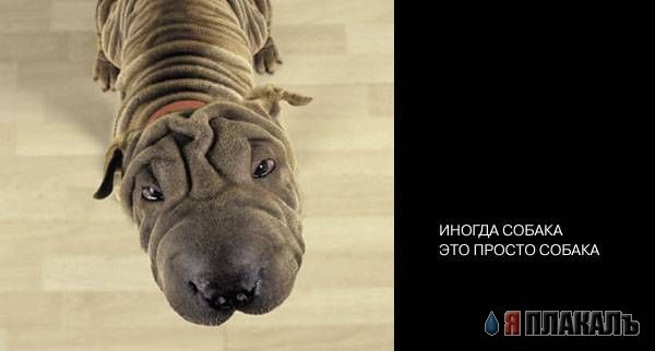 Чат моего детства