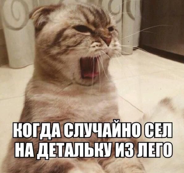 Адский трэш и вакханалия VOL4! Строго 16+