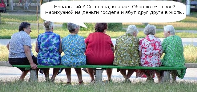 Поклонская предложила проверить фонд Алексея Навального на коррупцию