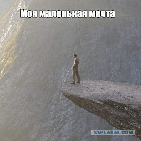 Юмор социальных сетей