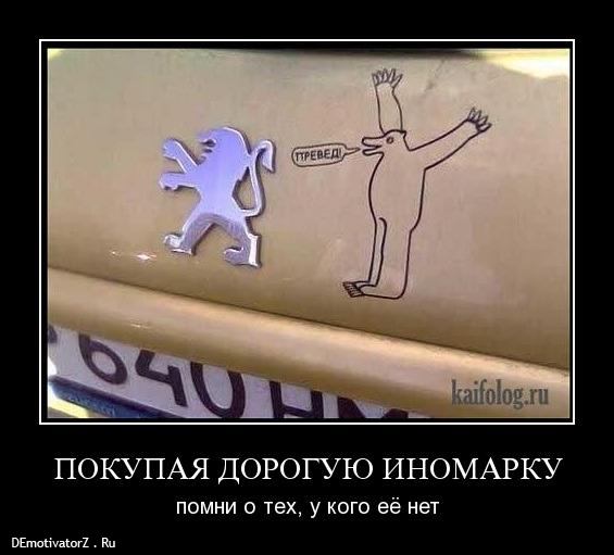 Молодая парочка сделали эффектное фото на капоте БМВ