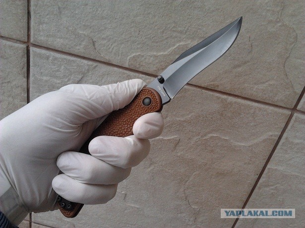 Анатомия складного ножа
