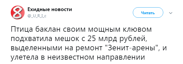 "Баклан склевал наш стадион..."