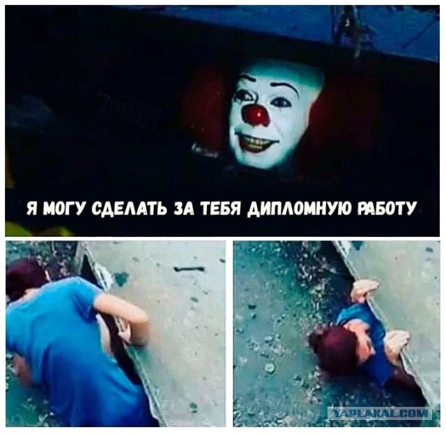 Приколы на любые темы