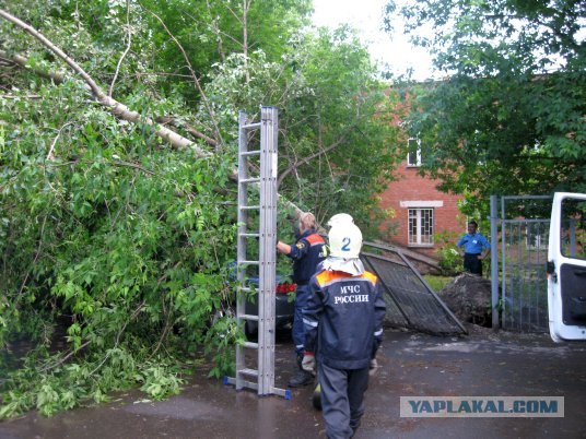 Ураган в Москве, 11 июня 2009