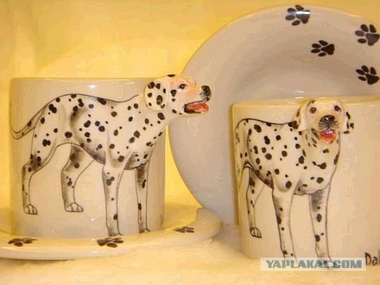 Чашки анималофилов (10  штук)