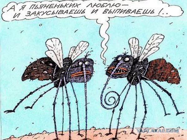 Cпособ защиты от комаров - Егерский! Когда забыл репеллент