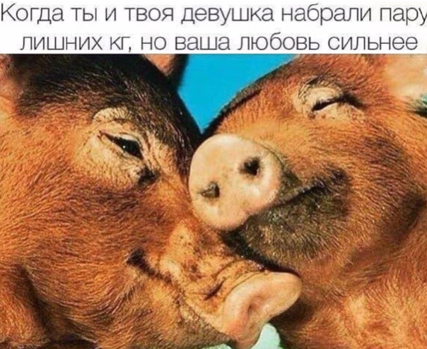 Алкопост 27.03.21