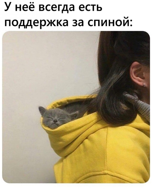 Юмор в картинках 4.09.21