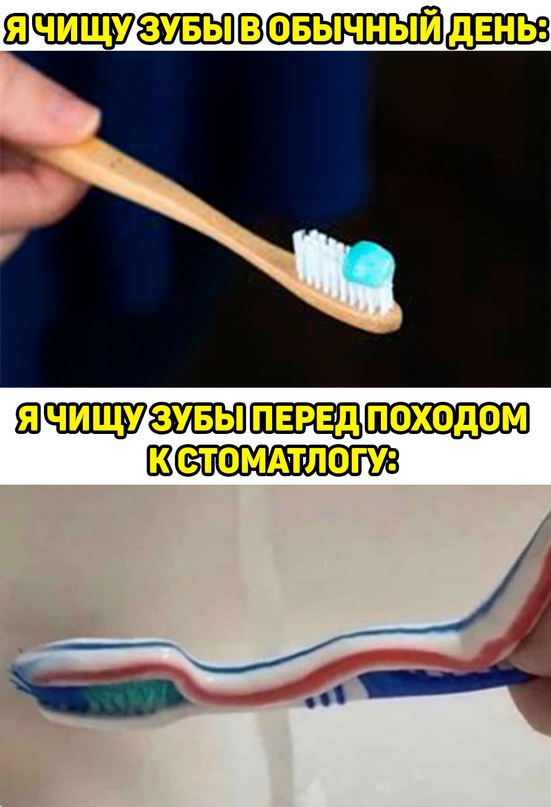 Весёлый полтишок 16.11