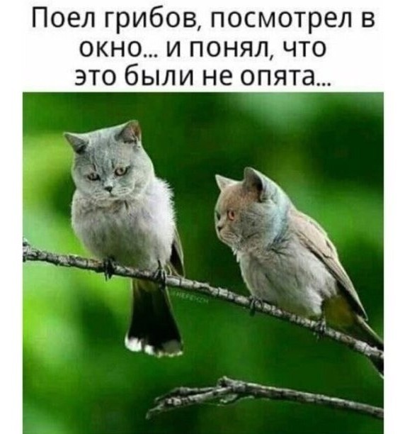 Пост картинок разных