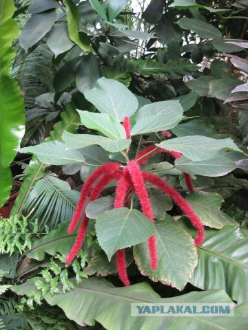 Я люблю Казань!