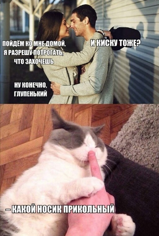 Перлы - 24.12.22
