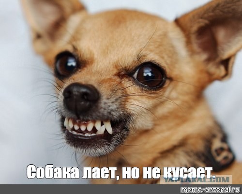 Медведев отчитал Польшу