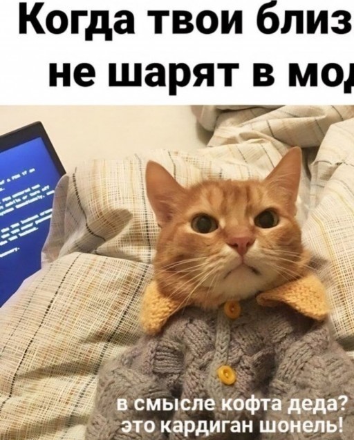 Юмор в картинках и без 20.01.2023