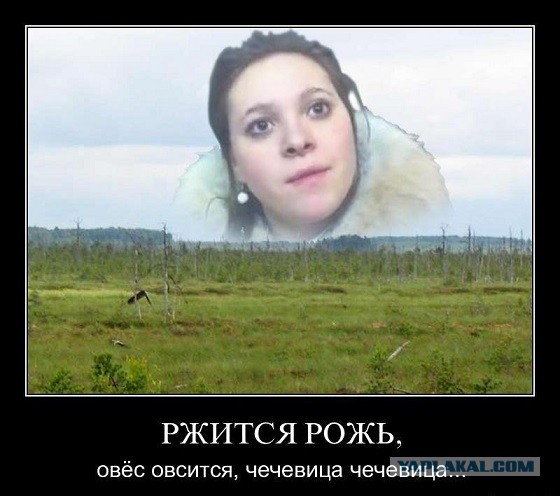 30 распространённых русских слов, которые сегодня уже все забыли