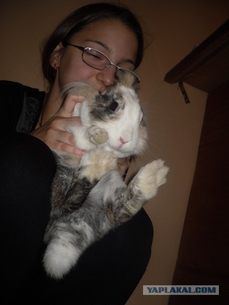 Стрельба в Белгороде