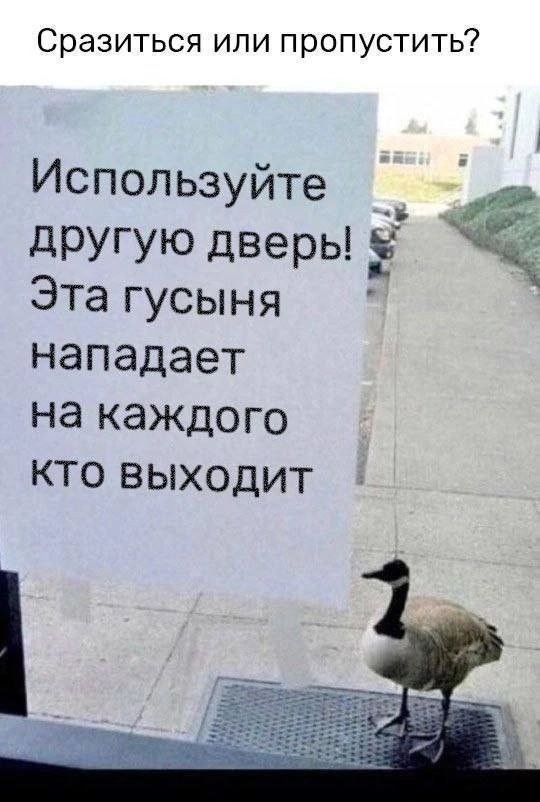 Картинки разные с надписями и без