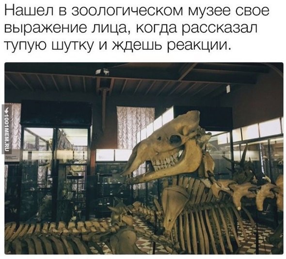 Веселые картинки к пятнице (26.07)