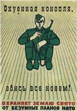 Кексами с марихуаной угостил своих коллег строитель из Краснодарского края