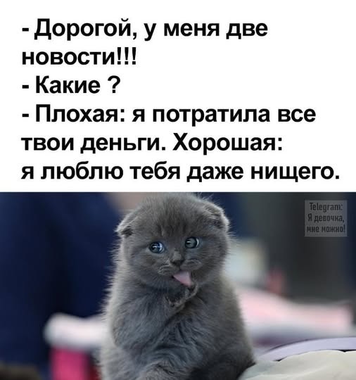 К котовторнику: подборка картинок-баянов с котиками и про котиков. Выпуск 6