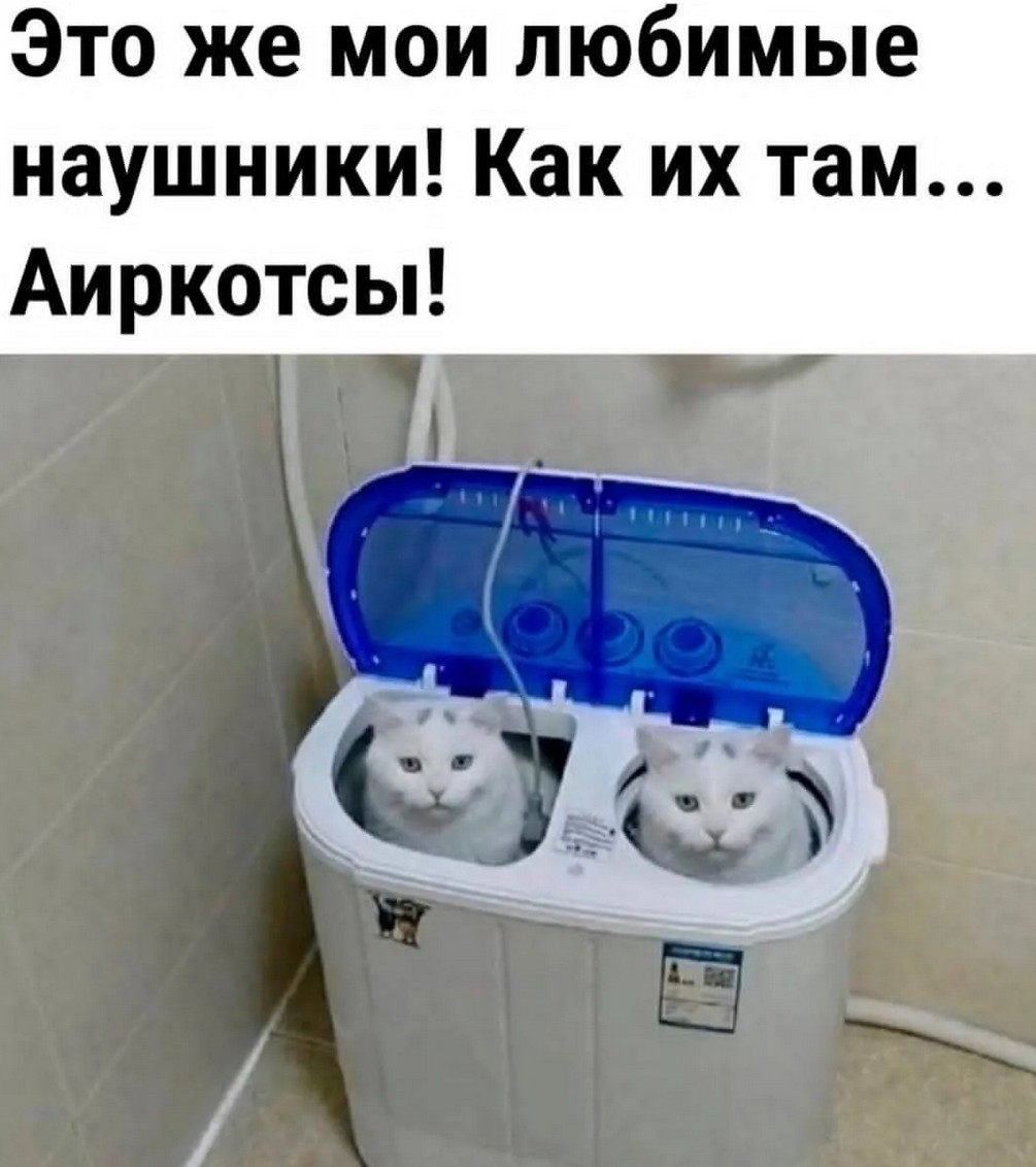 20124669.jpg