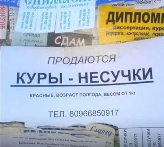 Субботние картинки