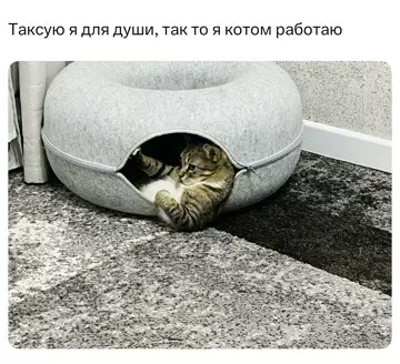 Картиночки, баянчики 21 февраля